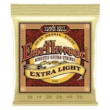 ERNIE BALL Earthwood