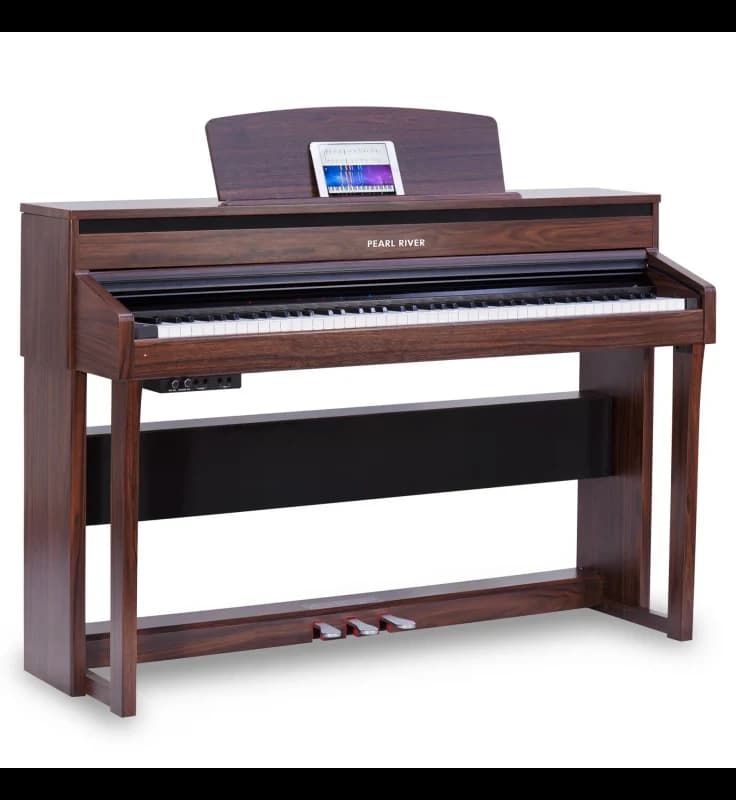 PEARL RIVER F53
