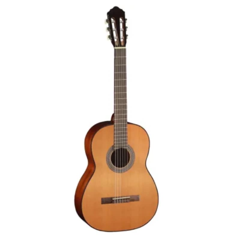 CORT AC100SG