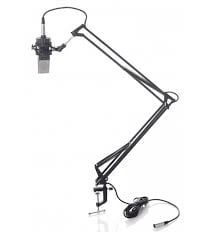 Bespeco Podcast Arm