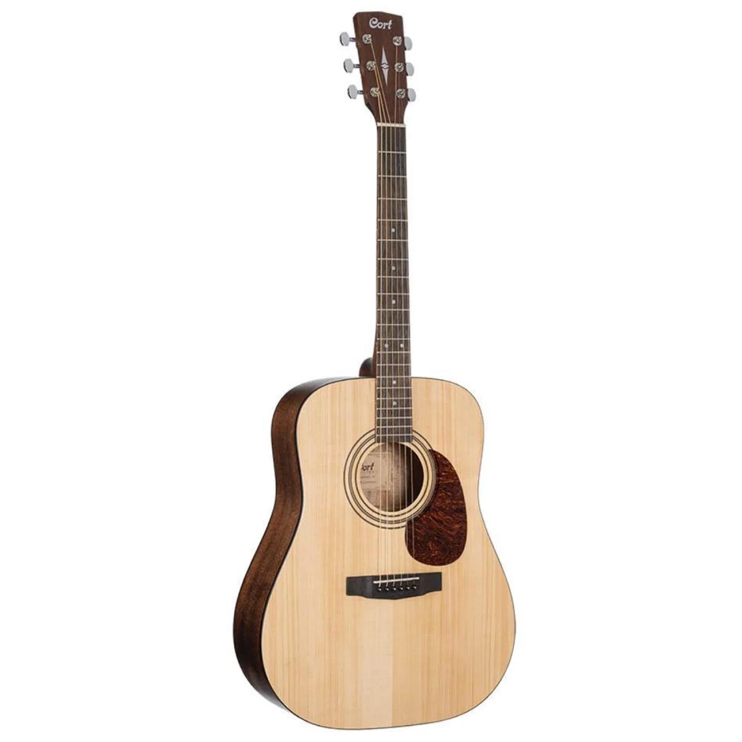 Cort Earth60