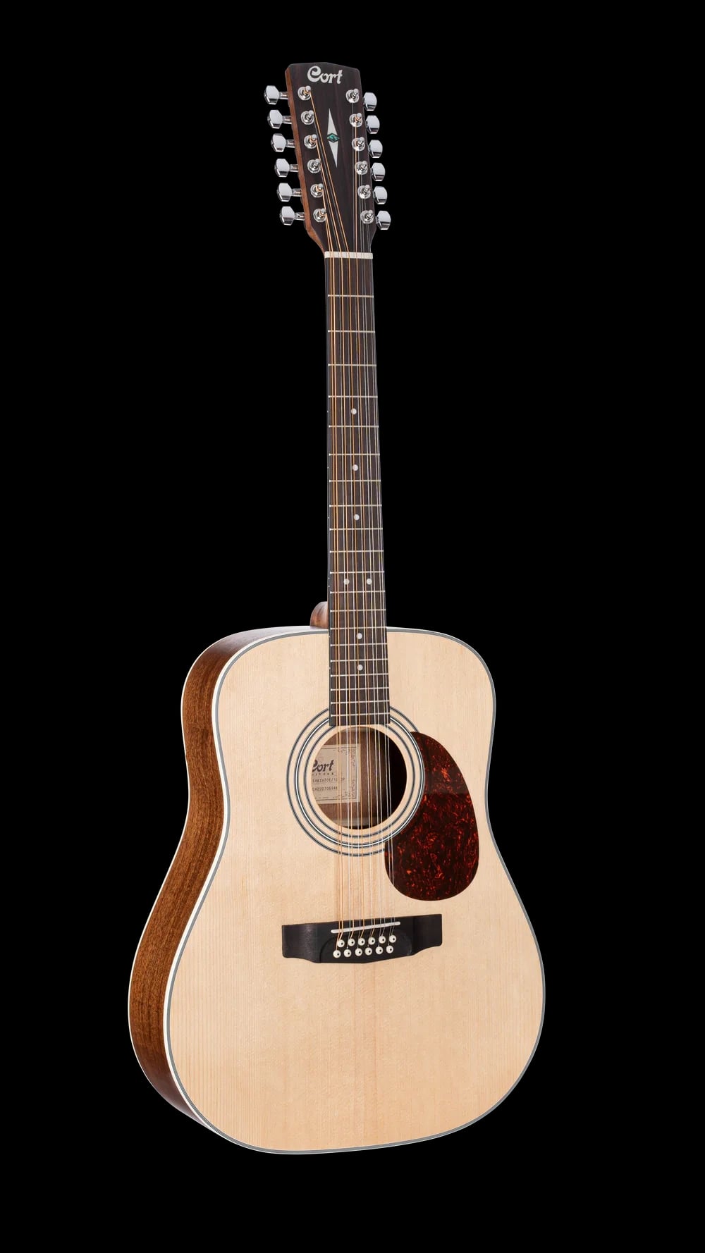 Cort Earth70