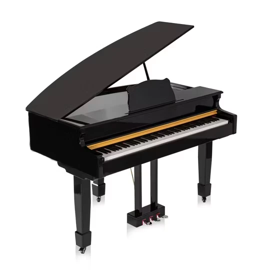 Zak GRAND 800